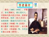 1社戏ppt(3)