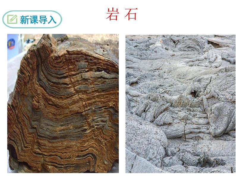 8、时间的脚印课件第3页