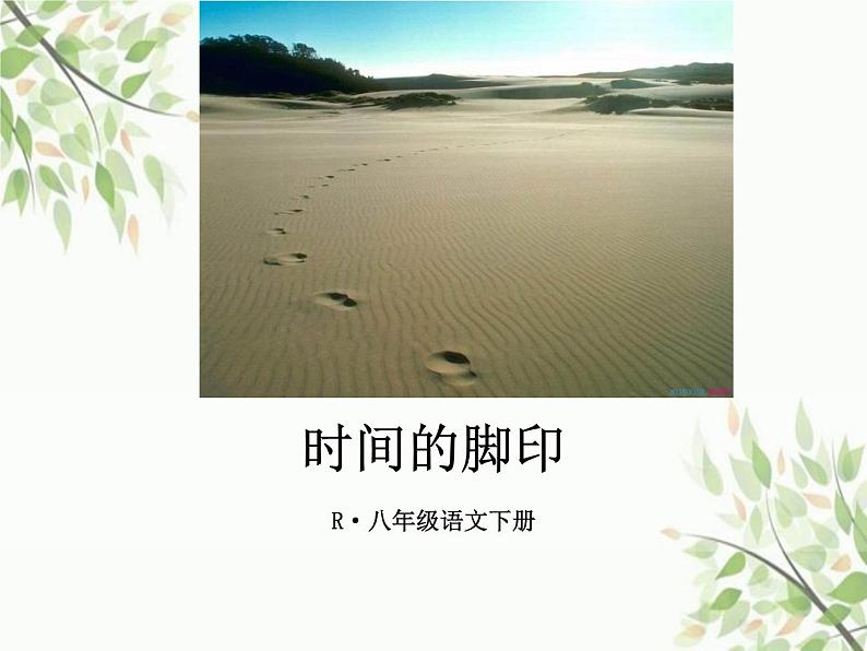 8、时间的脚印课件第4页