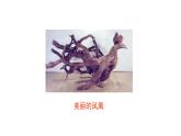 部编版八年级语文下册----11《核舟记》课件