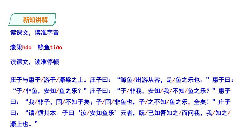 部编版八年级语文下册----《 庄子与惠子游于濠梁之上》课件05