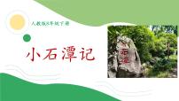 初中语文第三单元10 小石潭记课文内容课件ppt