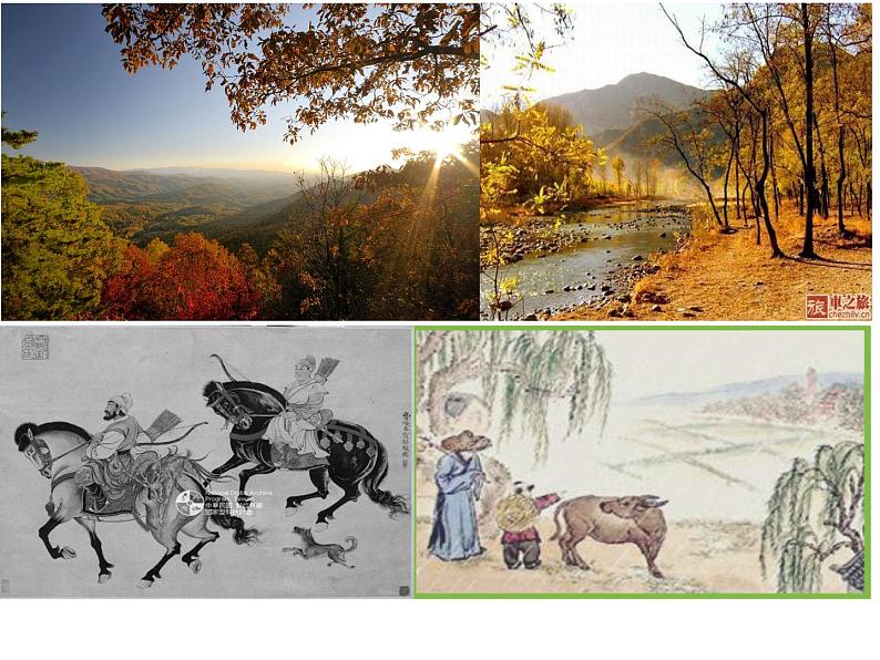 2022-2023学年人教部编版语文八年级上册 第三单元 13唐诗五首——野望 课件第7页