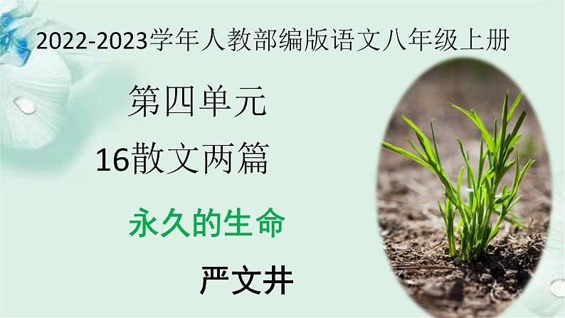 2022-2023学年人教部编版语文八年级上册 第四单元 16散文两篇——永久的生命 课件01