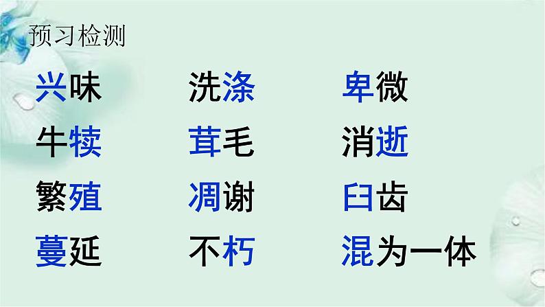 2022-2023学年人教部编版语文八年级上册 第四单元 16散文两篇——永久的生命 课件04