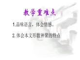 2022-2023学年人教部编版语文八年级上册 第四单元 17昆明的雨 课件pptx