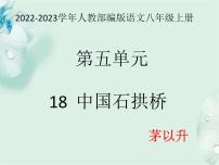 人教部编版八年级上册第五单元18 中国石拱桥课文内容ppt课件