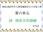2022-2023学年人教部编版语文八年级上册 第六单元 25周亚夫军细柳 课件