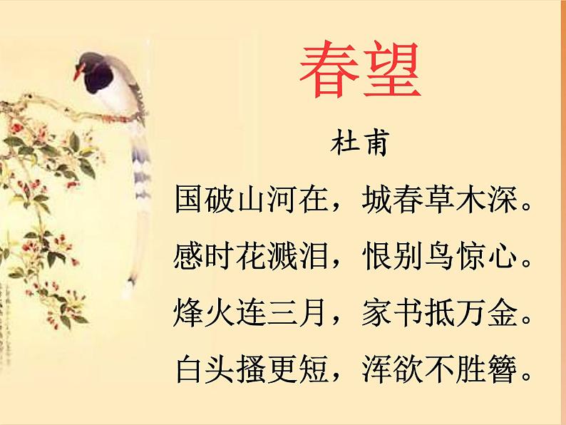 2022-2023学年人教部编版语文八年级上册 第六单元 26诗词五首——春望 课件05