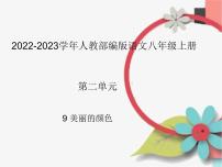 初中人教部编版美丽的颜色教课内容课件ppt
