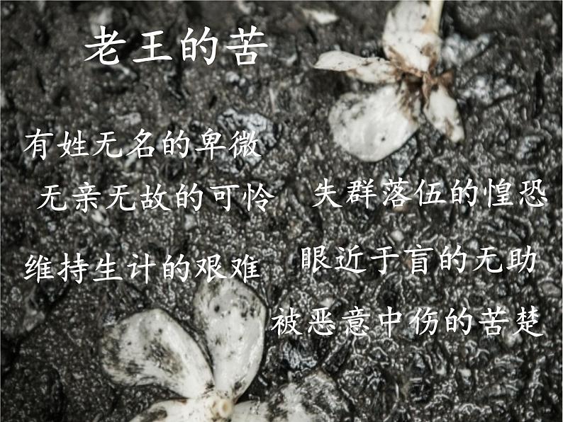 第11课《老王》课件（共20张PPT）2021—2022学年部编版语文七年级下册第5页