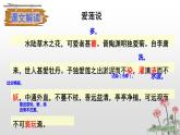 第17课《爱莲说》课件（共23页）2021-2022学年部编版语文七年级下册