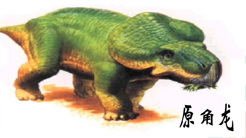 第6课《阿西莫夫短文两篇——恐龙无处不有》课件（共29张PPT）2021—2022学年部编版语文八年级下册第7页