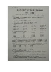 2022年云南省文山州初中学业水平模拟考试语文试题