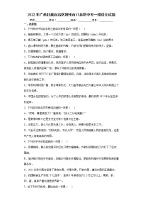 2022年广西壮族自治区贺州市八步区中考一模语文试题(word版含答案)