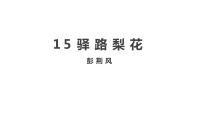 初中语文15 驿路梨花授课课件ppt