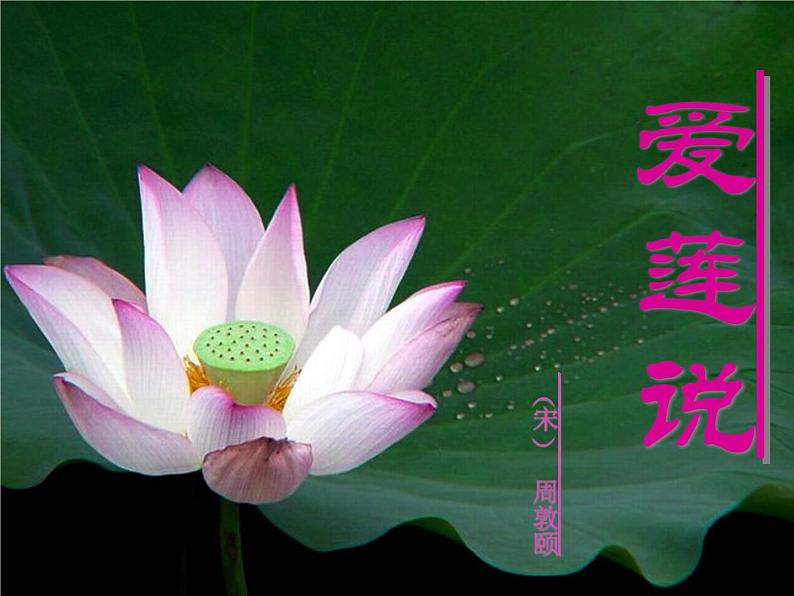 《爱莲说》课件1部编版七年级下册语文01