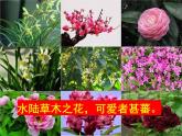 《爱莲说》课件 ppt280