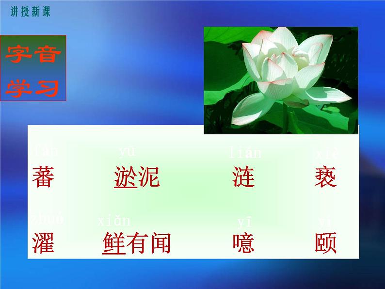 《爱莲说》课件ppt281第6页