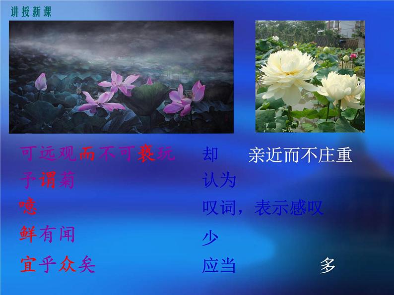 《爱莲说》课件ppt281第8页