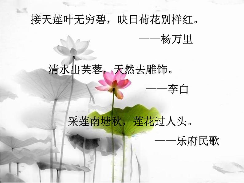 《爱莲说》课件3部编版七年级下册语文第1页
