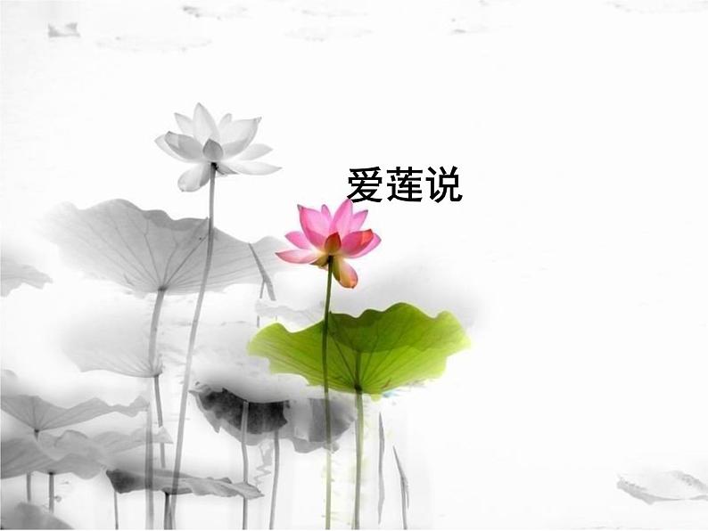 《爱莲说》课件3部编版七年级下册语文第2页