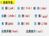 15.我一生中的重要抉择课件PPT