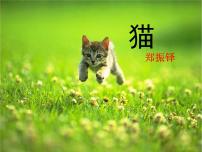 语文七年级上册16 猫课文配套课件ppt