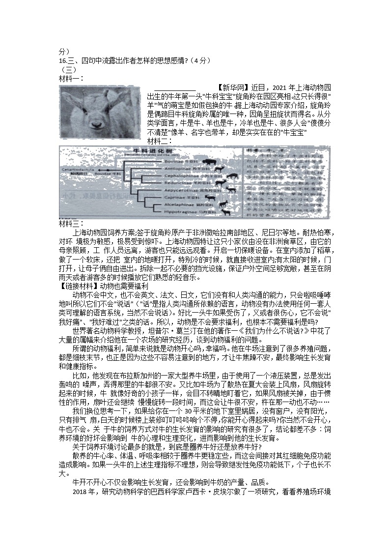 2022年湖南省娄底市新化县中考二模语文试题（含答案）03