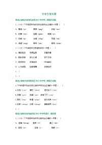 2022年黑龙江省哈尔滨市各地中考语文模拟试卷分类汇编：字音字形专题（含答案）