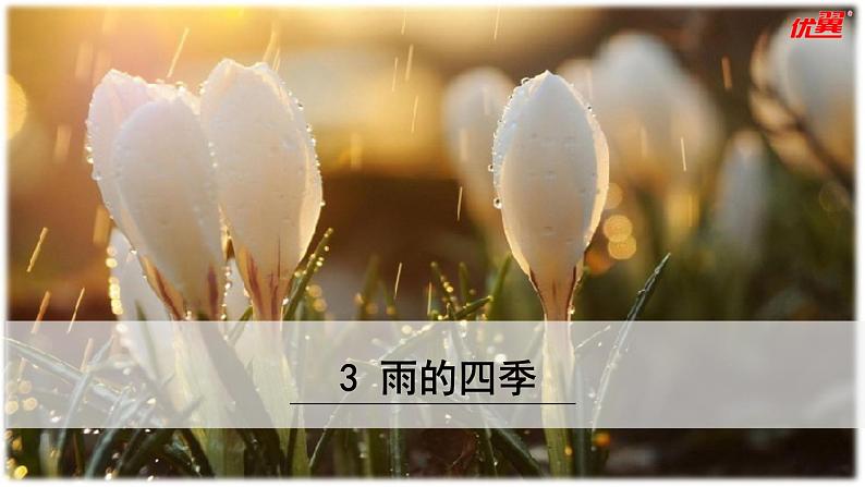 3  雨的四季课件PPT第1页