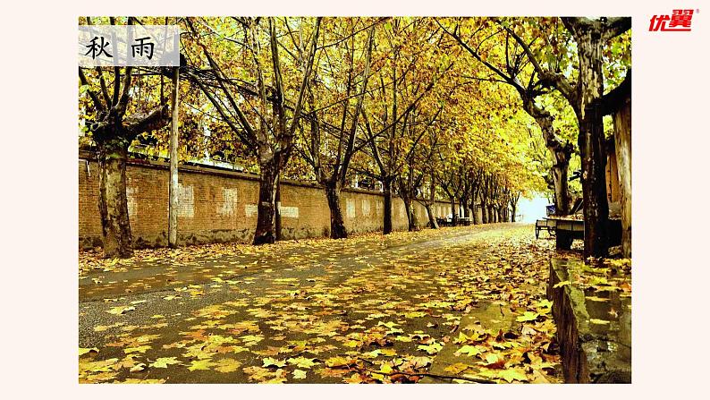 3  雨的四季课件PPT第6页
