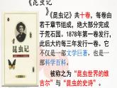 21.八上第五单元《蝉》课件PPT
