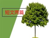 九年级语文《短文两篇》ppt