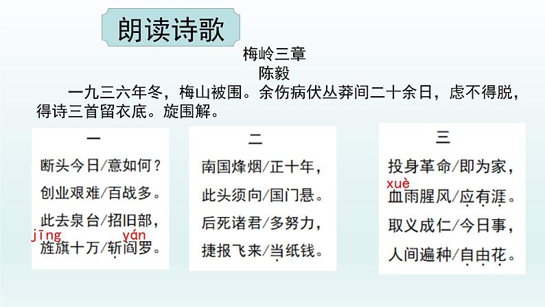 第2课《梅岭三章》课件（共19张PPT）2021—2022学年部编版语文九年级下册06