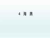 第4课《海燕》课件（共23张PPT）2021—2022学年部编版语文九年级下册