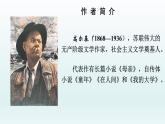 第4课《海燕》课件（共23张PPT）2021—2022学年部编版语文九年级下册
