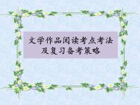 2022年四川省宜宾市中考语文复习：文学作品阅读复习分享（共29张PPT）