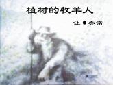 13 植树的牧羊人 课件（共22张PPT）