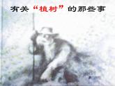 13 植树的牧羊人 课件（共22张PPT）