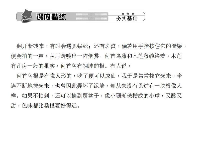 统编版七年级语文上册9 从百草园到三味书屋同步提升 课件（22张PPT）08