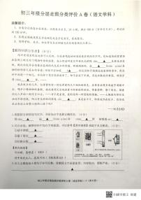 浙江省绍兴市柯桥区中考适应性考试分层走班分类评价A卷语文卷及答案（图片版）