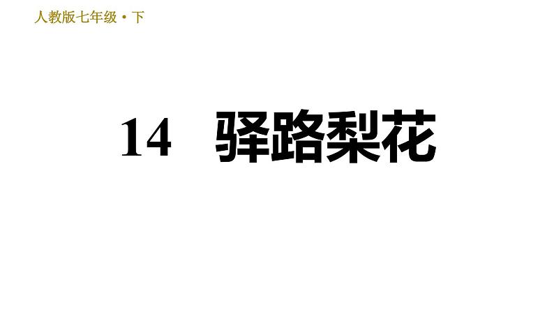 15. 驿路梨花  训练巩固课件（共25张PPT）01