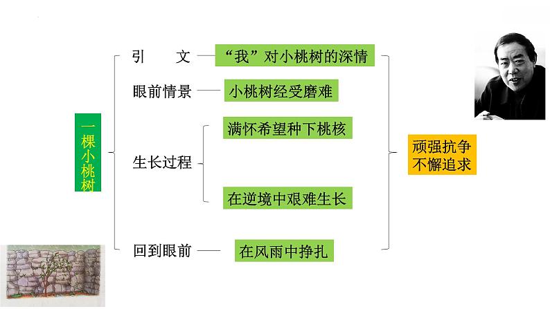 第19课《一棵小桃树》导学课件2021-2022学年部编版语文七年级下册第7页