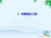 14　叶圣陶先生二三事 习题课件(共23张PPT)