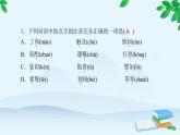 14　叶圣陶先生二三事 习题课件(共23张PPT)