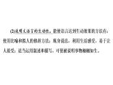 部编版语文八年级上册第5单元  20　蝉 习题课件 （共39张PPT）