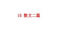 初中语文人教部编版八年级上册永久的生命教学演示ppt课件
