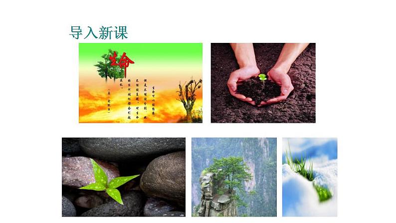 2021—2022学年部编版语文八年级上册第16课《短文二篇——永久的生命》课件（共34张PPT）03