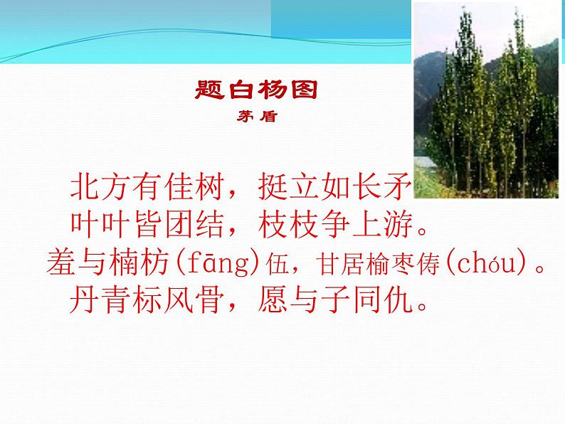 第15课《白杨礼赞》课件（共28张PPT）06